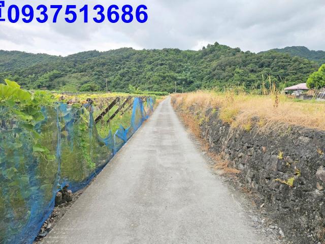 員山農地-4