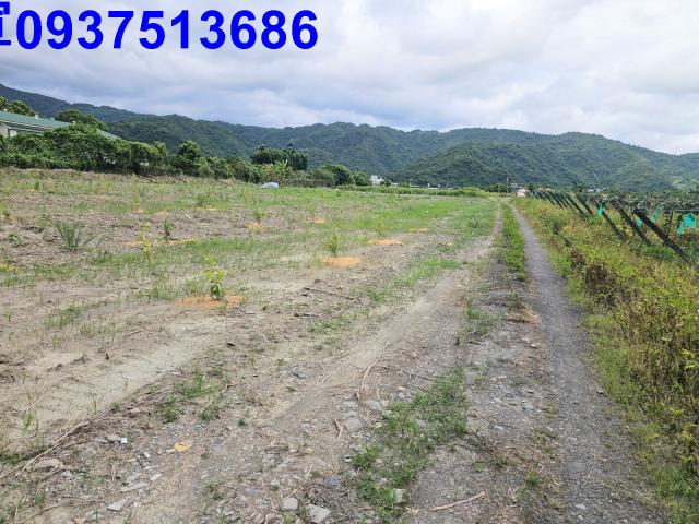 員山農地-9