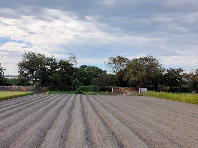 埔鹽農地-7