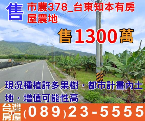 台東市農地-1