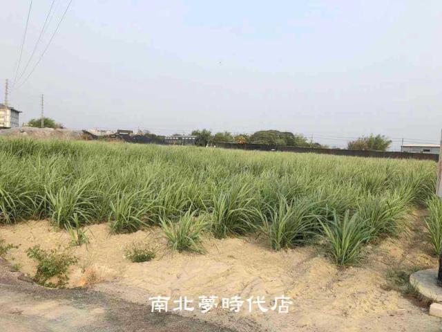 台南新市農地-2