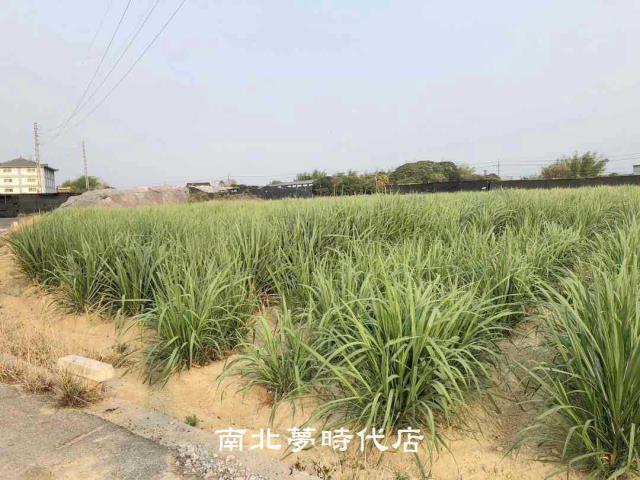 台南新市農地-3