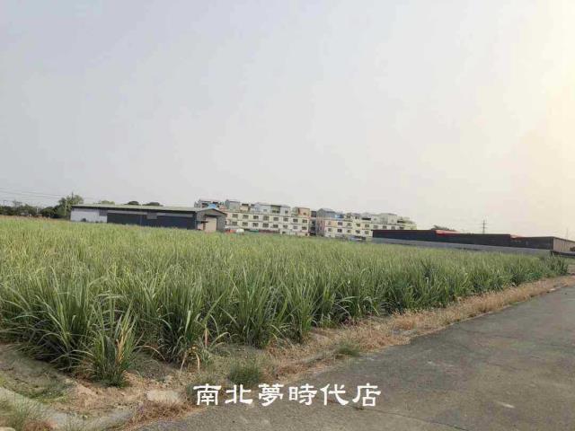 台南新市農地-4
