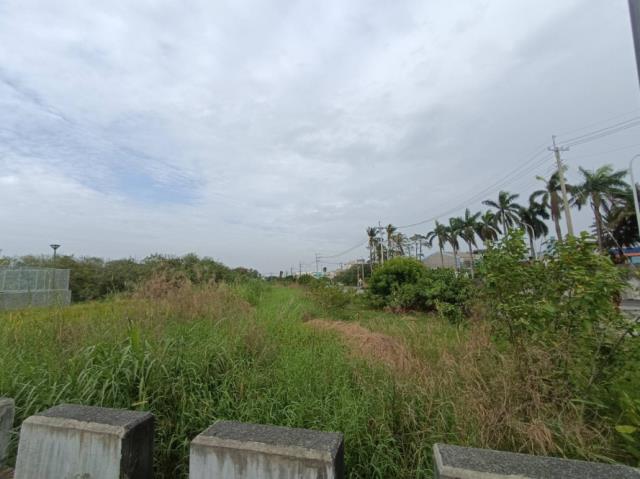 台南學甲農地-3