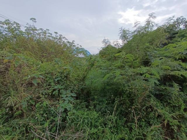 台南學甲農地-7