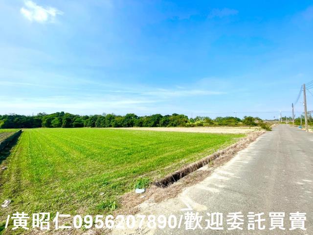 台南安定農地-4