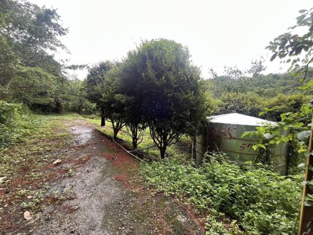 南投農地-13