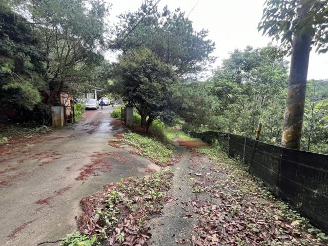南投農地-14