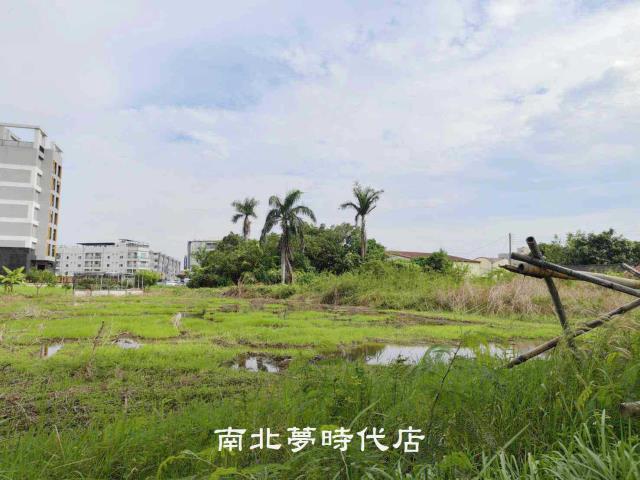台南新市農地-15