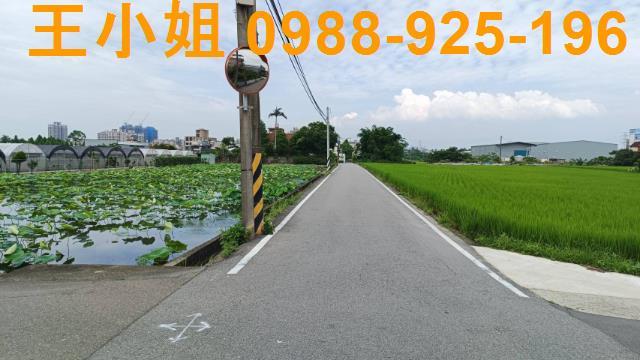 蘆竹農地-1