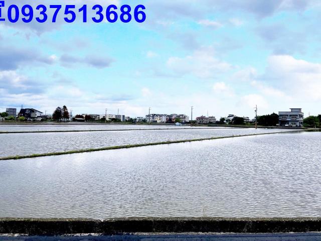 宜蘭宜蘭市農地-6