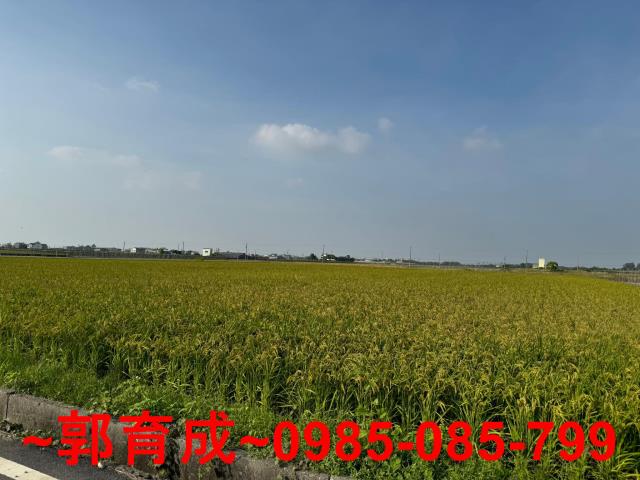 東山農地-1