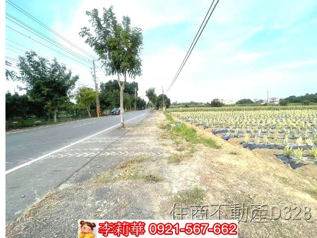 台南農地-5