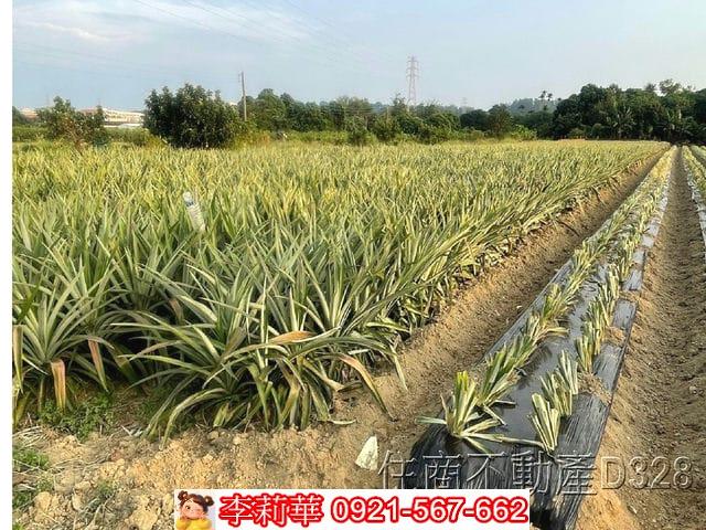 台南農地-7