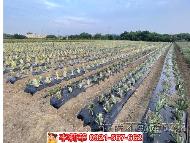 台南農地-9