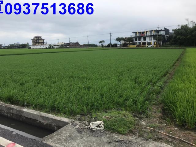 壯圍農地-2