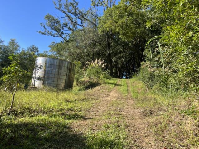 台中東勢山坡地-2