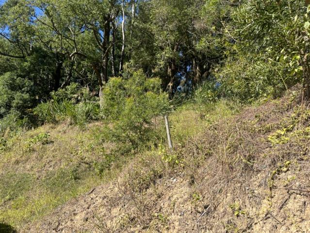 台中東勢山坡地-5