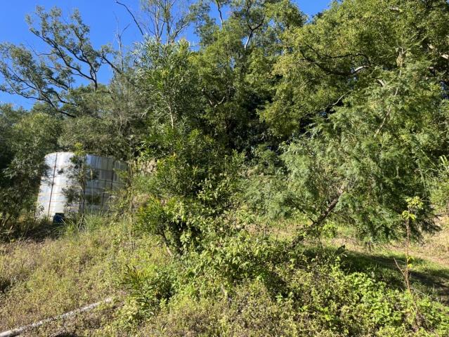 台中東勢山坡地-8