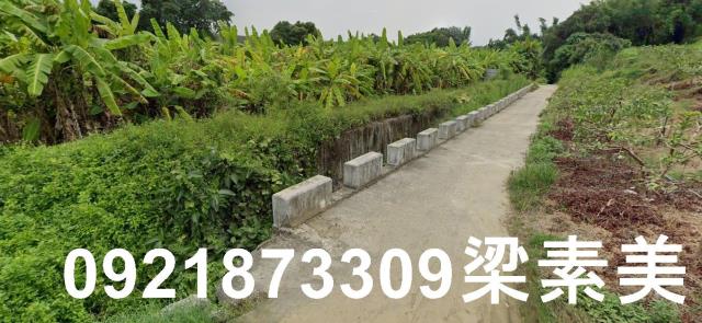 玉井農地-3