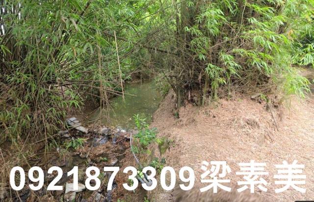 玉井農地-6