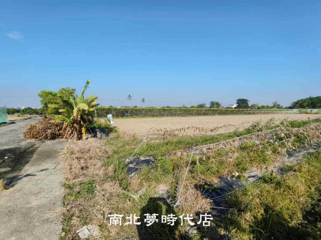東山農地-3
