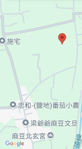 台南麻豆農地-14