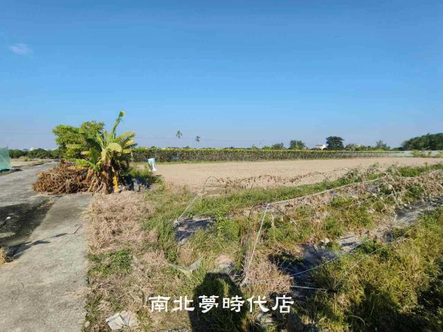 台南農地-3