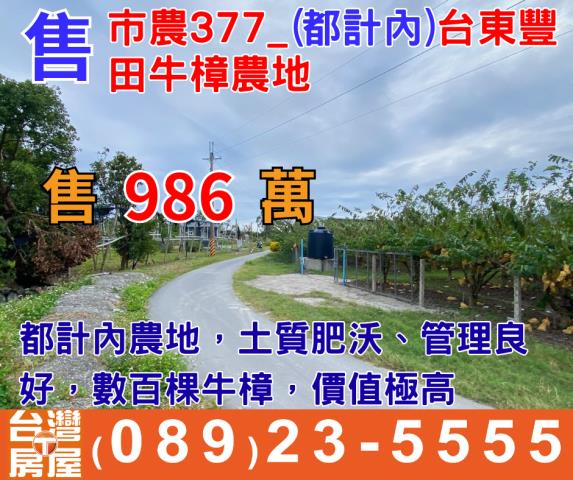台東市農地-1