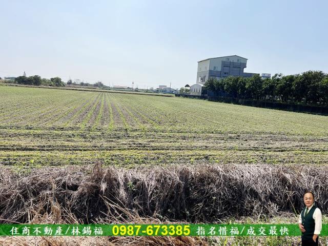 台南農地-4