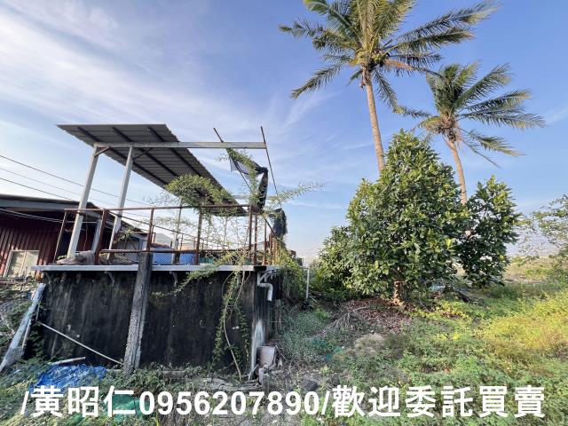 歸仁農地-6