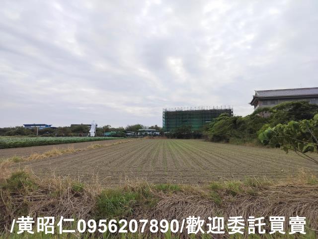安定農地-1