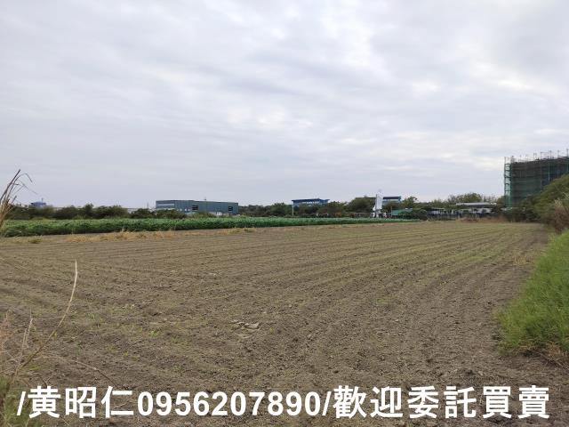 安定農地-2