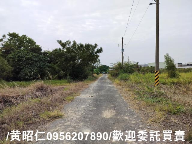 安定農地-5