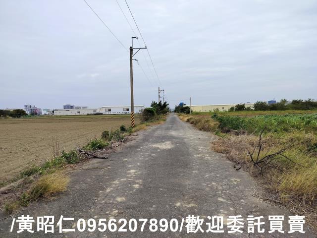 安定農地-6
