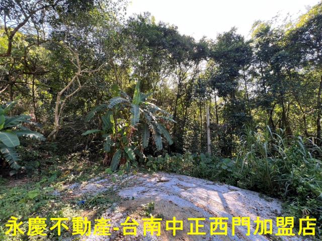 台南白河農地-7