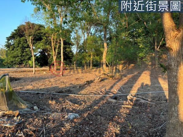 台南楠西農地-4
