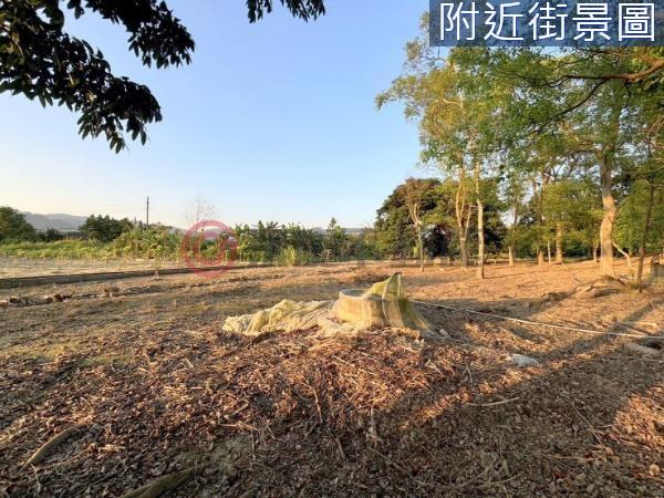 台南楠西農地-5