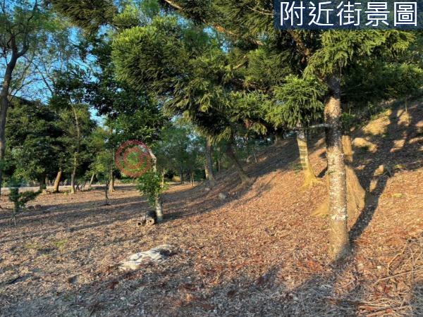 台南楠西農地-6