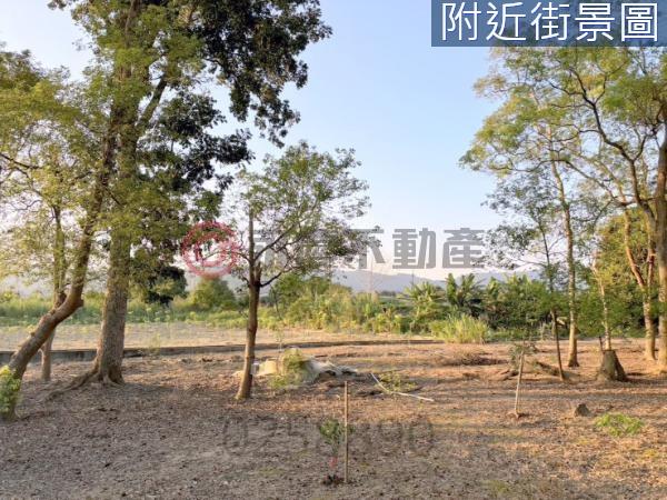 台南楠西農地-8