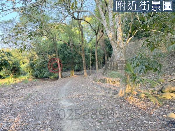 台南楠西農地-9