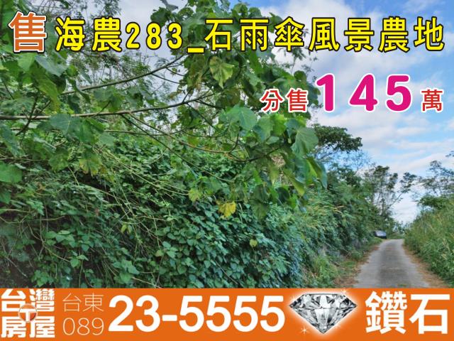 成功農地-15