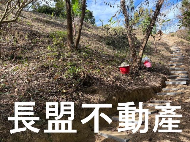 台中山坡地-7