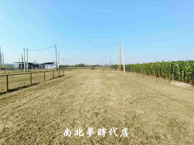台南柳營農地-7