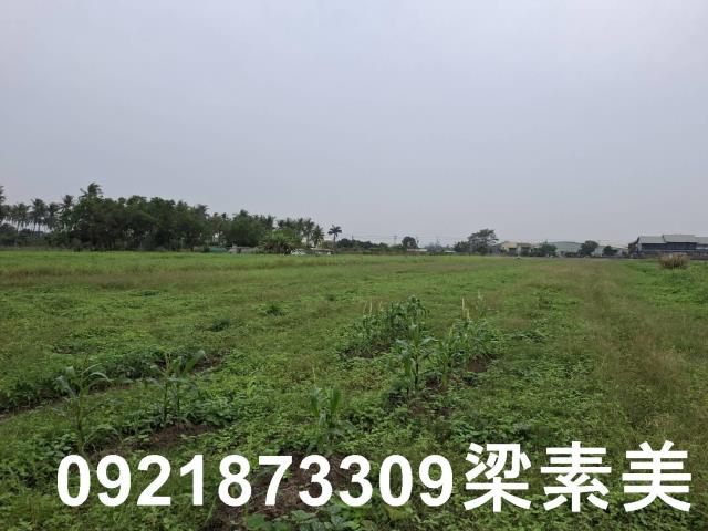 台南農地-1