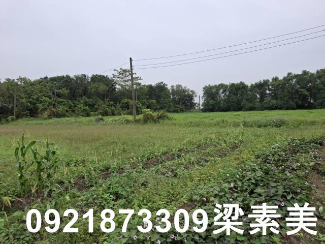 台南農地-2