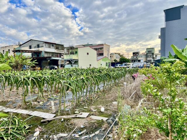 南投名間農地-2