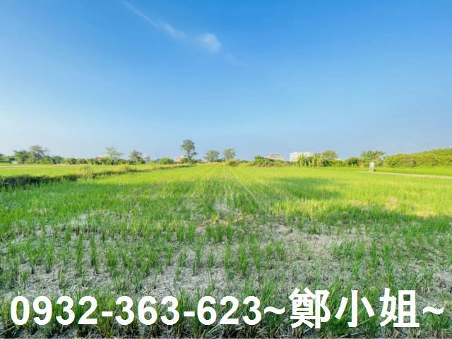 大園農地-3