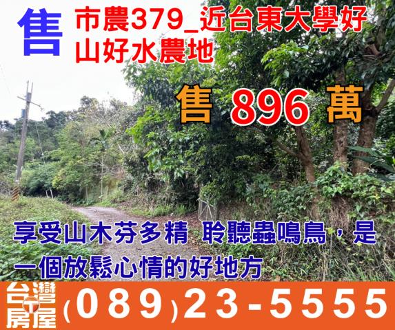 台東台東市農地-1