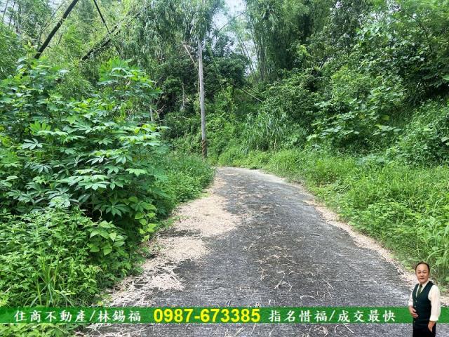 台南左鎮農地-6